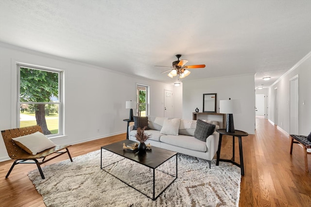 2746 Kinneys Rd, Cedar Hill, TN 37032 - living room featuring ornamental molding, light wood-style floors, and ceiling fan
