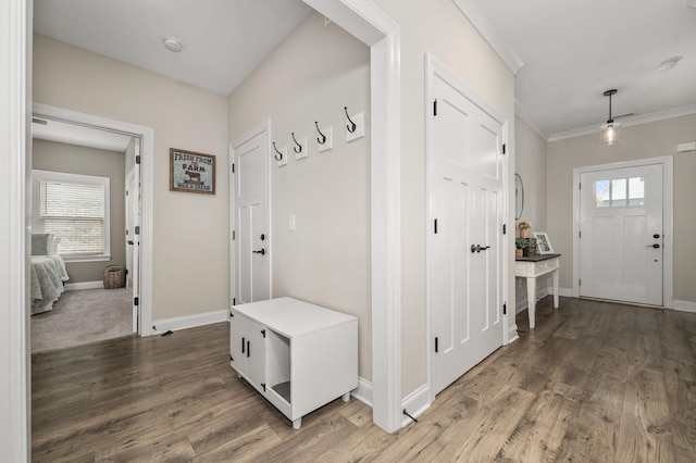 319 Edna May Dr, Murfreesboro, TN 37128 - mudroom with wood finished floors, healthy amount of natural light, and ornamental molding