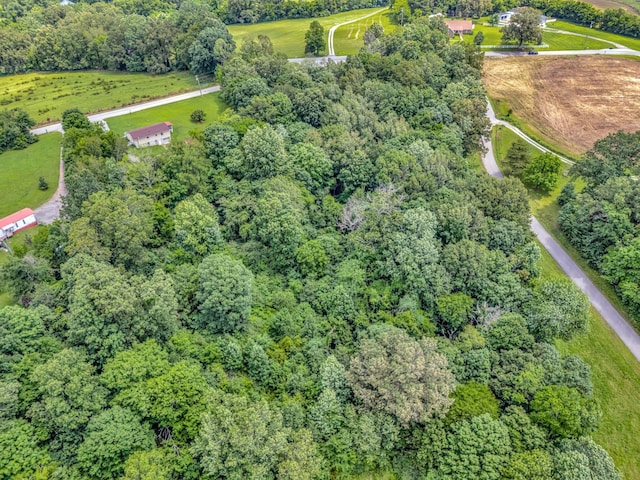 1152 Mcclure Rd, Clarksville, TN 37040 - photo 14