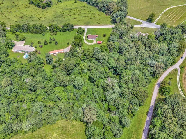 1152 Mcclure Rd, Clarksville, TN 37040 - photo 9