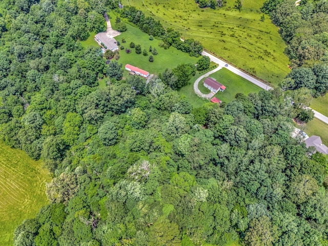 1152 Mcclure Rd, Clarksville, TN 37040 - photo 17