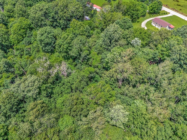 1152 Mcclure Rd, Clarksville, TN 37040 - photo 16