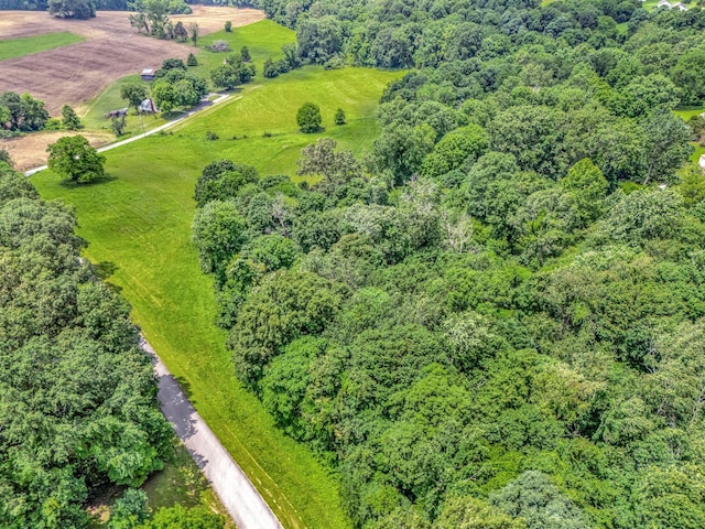 1152 Mcclure Rd, Clarksville, TN 37040 - photo 10