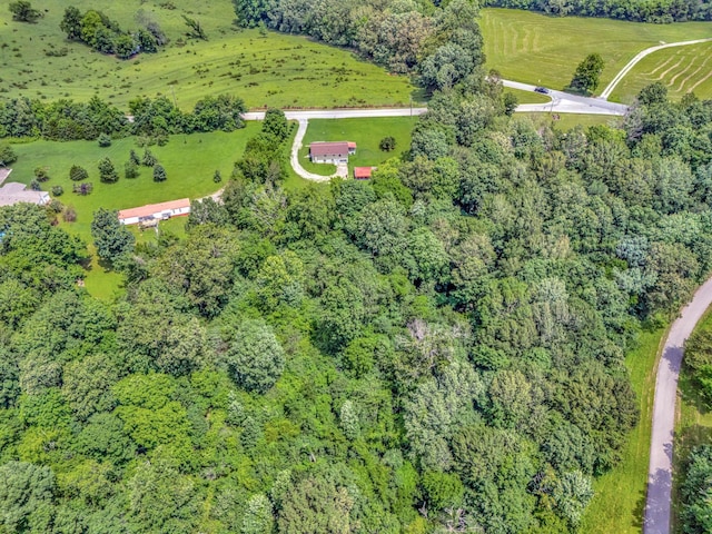 1152 Mcclure Rd, Clarksville, TN 37040 - photo 13