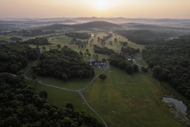 6180 SE Tater Peeler Rd, Lebanon, TN 37090 - photo 1