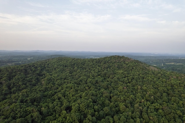 6180 SE Tater Peeler Rd, Lebanon, TN 37090 - photo 37