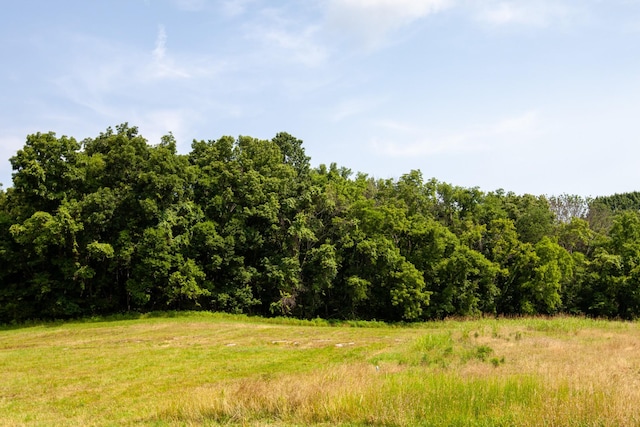6180 SE Tater Peeler Rd, Lebanon, TN 37090 - photo 29