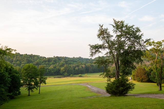 6180 SE Tater Peeler Rd, Lebanon, TN 37090 - photo 55