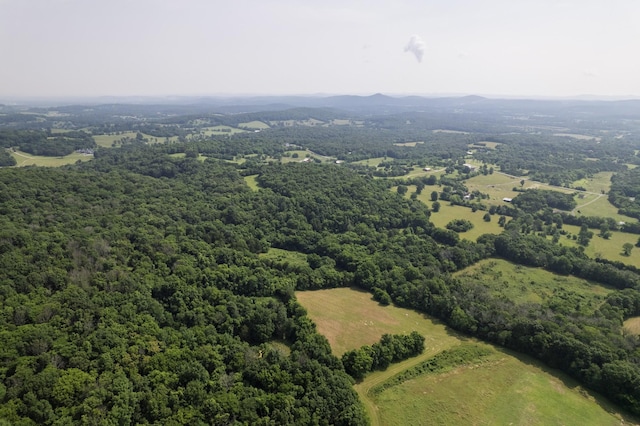 6180 SE Tater Peeler Rd, Lebanon, TN 37090 - photo 81
