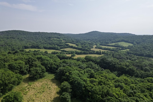 6180 SE Tater Peeler Rd, Lebanon, TN 37090 - photo 79
