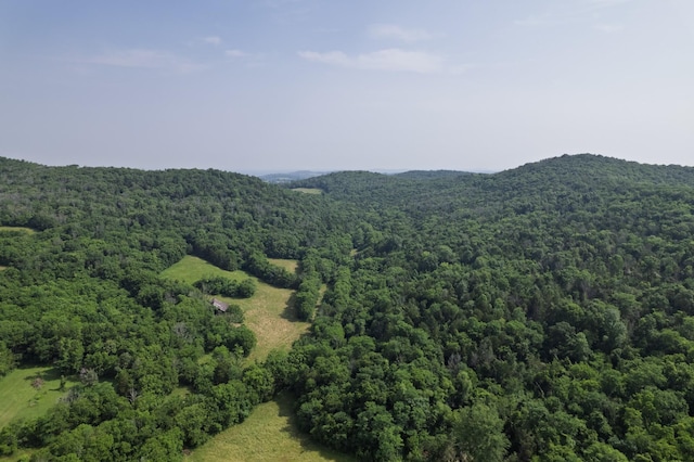 6180 SE Tater Peeler Rd, Lebanon, TN 37090 - photo 65
