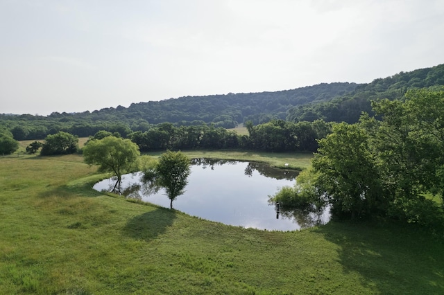 6180 SE Tater Peeler Rd, Lebanon, TN 37090 - photo 49