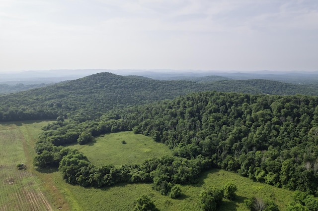 6180 SE Tater Peeler Rd, Lebanon, TN 37090 - photo 78