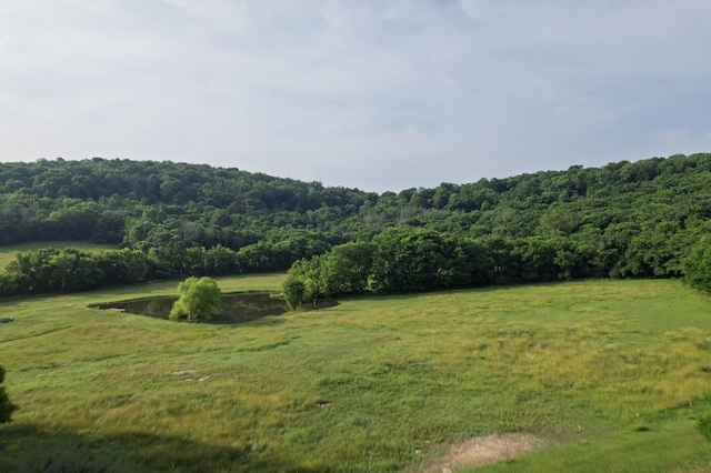 6180 SE Tater Peeler Rd, Lebanon, TN 37090 - photo 66