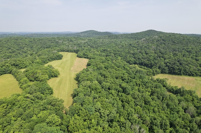 6180 SE Tater Peeler Rd, Lebanon, TN 37090 - photo 83
