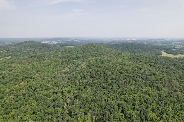 6180 SE Tater Peeler Rd, Lebanon, TN 37090 - photo 82