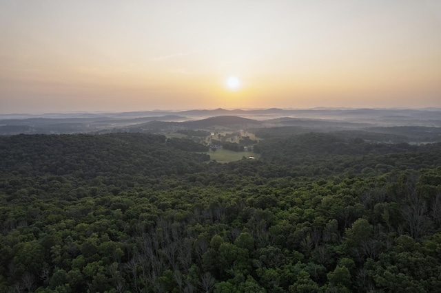 6180 SE Tater Peeler Rd, Lebanon, TN 37090 - photo 23