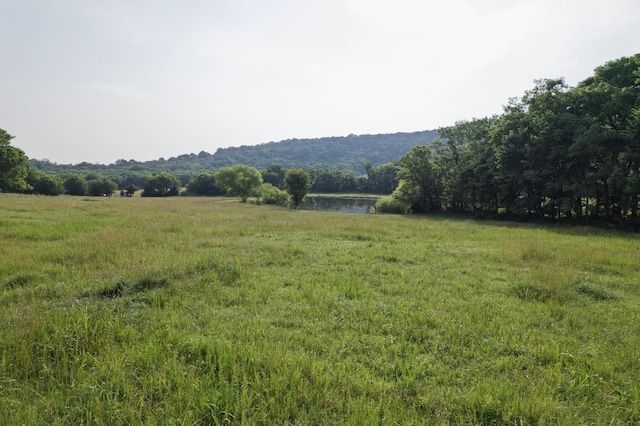 6180 SE Tater Peeler Rd, Lebanon, TN 37090 - photo 69