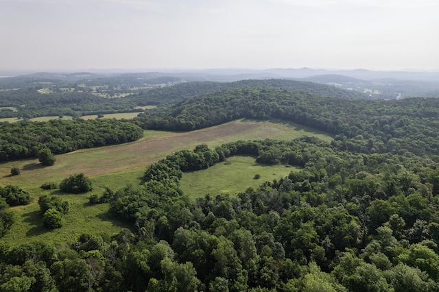 6180 SE Tater Peeler Rd, Lebanon, TN 37090 - photo 3