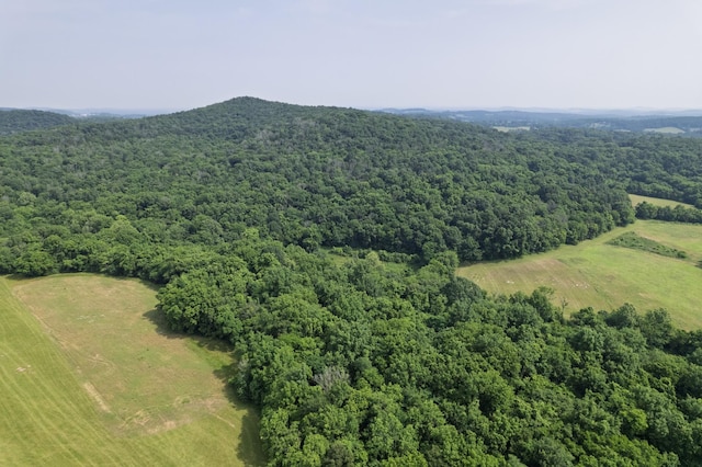6180 SE Tater Peeler Rd, Lebanon, TN 37090 - photo 80