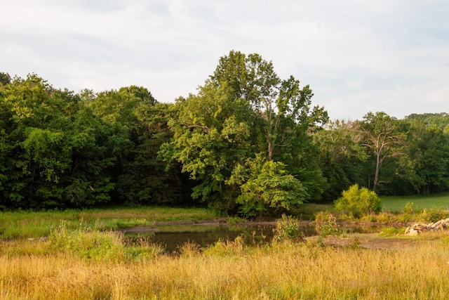 6180 SE Tater Peeler Rd, Lebanon, TN 37090 - photo 62