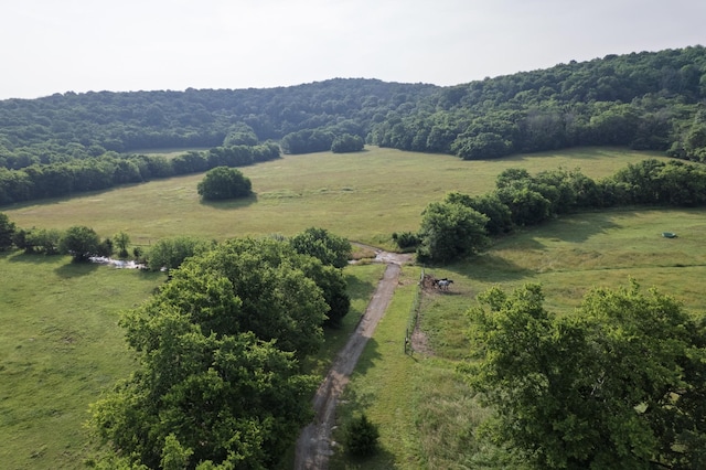 6180 SE Tater Peeler Rd, Lebanon, TN 37090 - photo 75