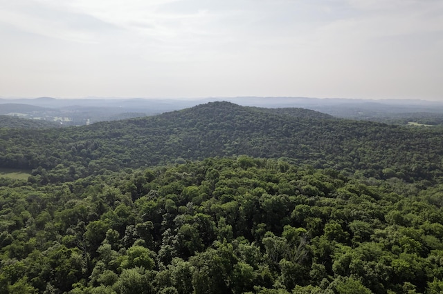 6180 SE Tater Peeler Rd, Lebanon, TN 37090 - photo 48