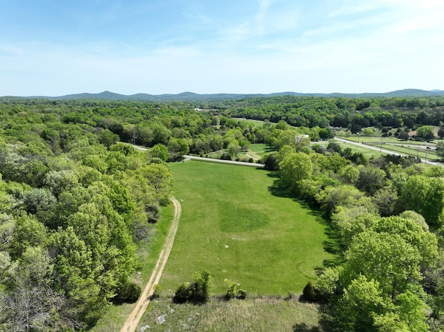 6180 SE Tater Peeler Rd, Lebanon, TN 37090 - photo 86