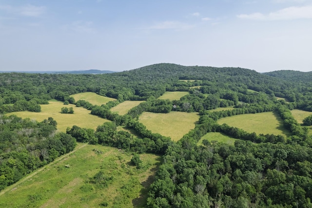 6180 SE Tater Peeler Rd, Lebanon, TN 37090 - photo 4