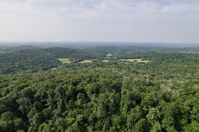 6180 SE Tater Peeler Rd, Lebanon, TN 37090 - photo 77
