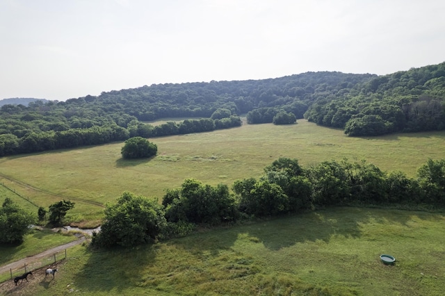 6180 SE Tater Peeler Rd, Lebanon, TN 37090 - photo 70