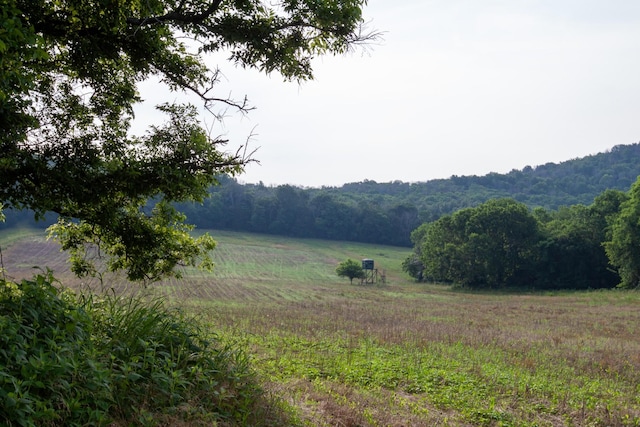 6180 SE Tater Peeler Rd, Lebanon, TN 37090 - photo 60