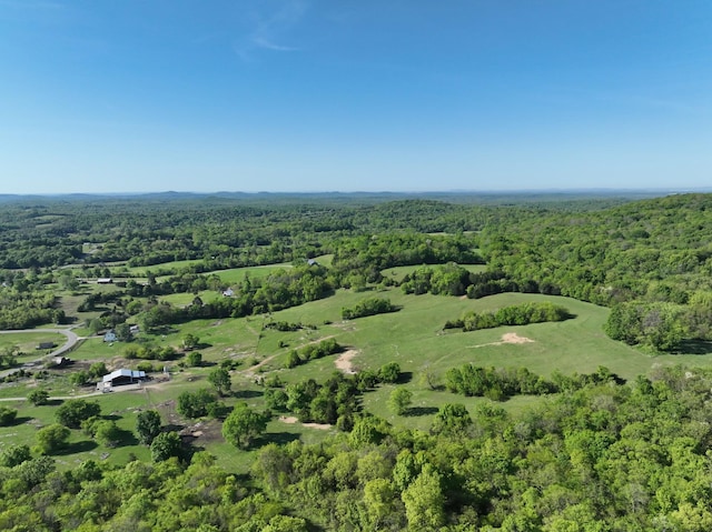 6180 SE Tater Peeler Rd, Lebanon, TN 37090 - photo 88