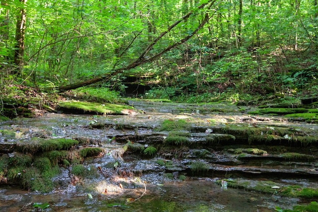 6180 SE Tater Peeler Rd, Lebanon, TN 37090 - photo 38