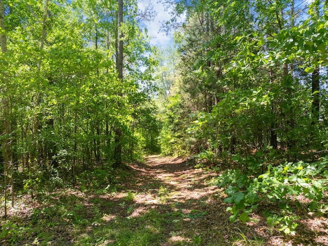 0 Hohammer Rd, Holladay, TN 38341