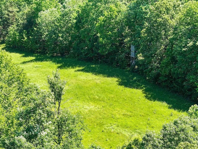 0 Hohammer Rd, Holladay, TN 38341