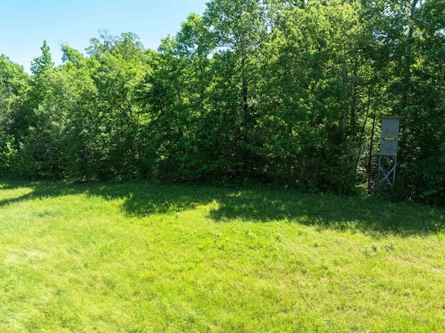 0 Hohammer Rd, Holladay, TN 38341