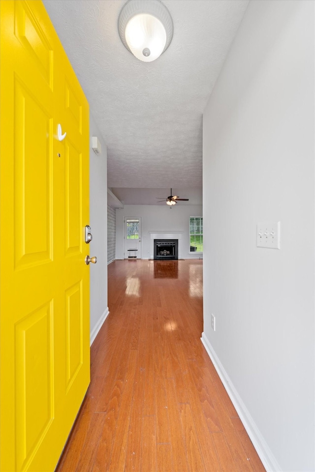 124 Jesse Brown Dr, Goodlettsville, TN 37072 - photo 4