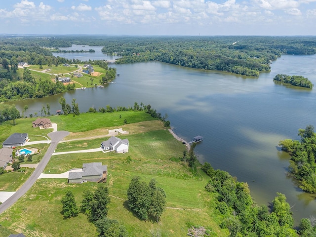 995 Rose Ln, Eddyville, KY 42038 - photo 9