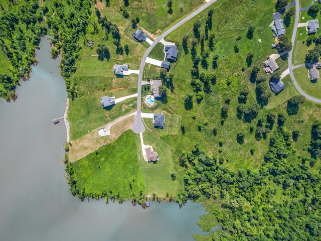 995 Rose Ln, Eddyville, KY 42038 - photo 13