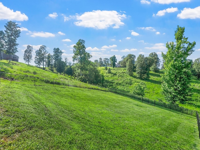 995 Rose Ln, Eddyville, KY 42038 - photo 15