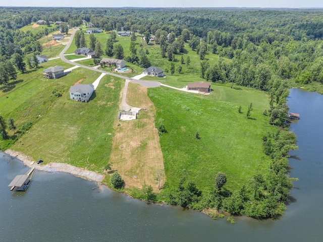 995 Rose Ln, Eddyville, KY 42038 - photo 10