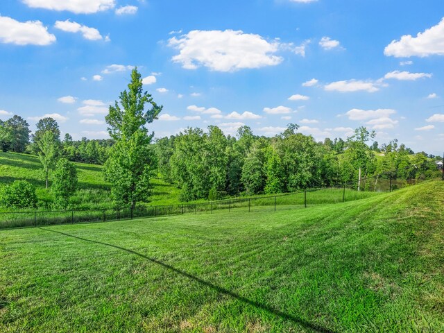 995 Rose Ln, Eddyville, KY 42038 - photo 16