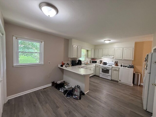 406 Hershey Dr, Hopkinsville, KY 42240 - photo 8