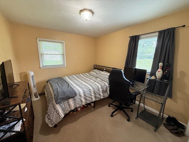 406 Hershey Dr, Hopkinsville, KY 42240 - photo 15