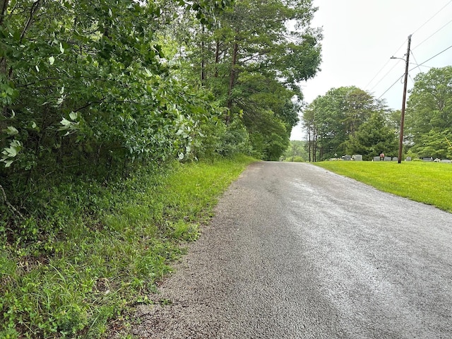 8 Saw Mill Rd, Palmer, TN 37365 - photo 16