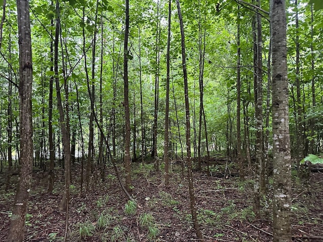 8 Saw Mill Rd, Palmer, TN 37365 - photo 1