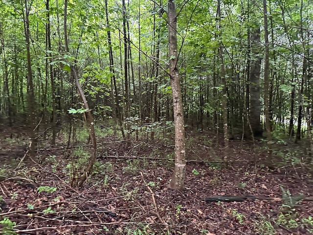 8 Saw Mill Rd, Palmer, TN 37365 - photo 3