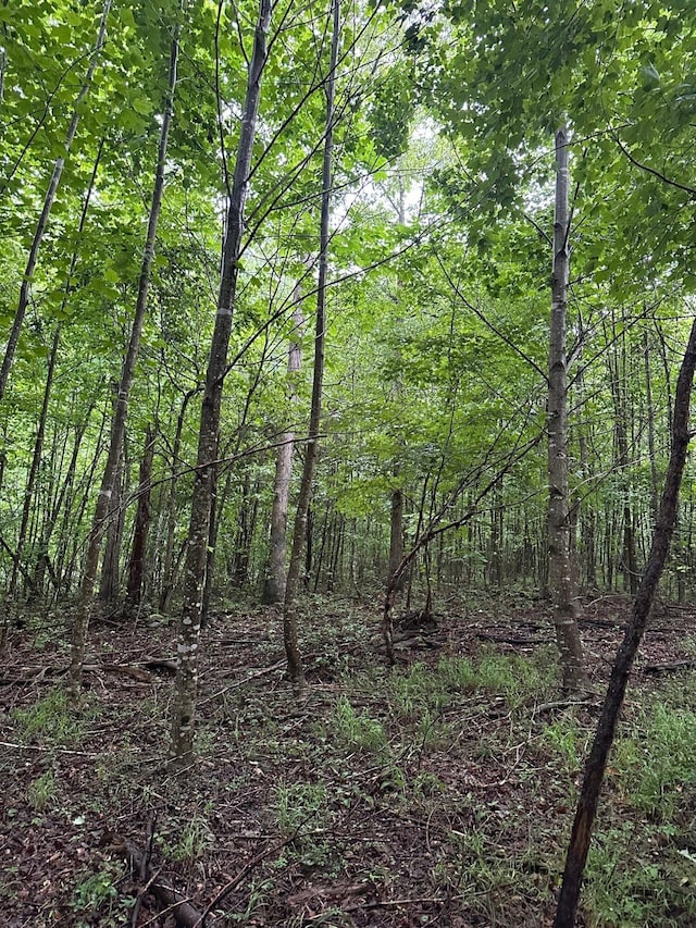 8 Saw Mill Rd, Palmer, TN 37365 - photo 12