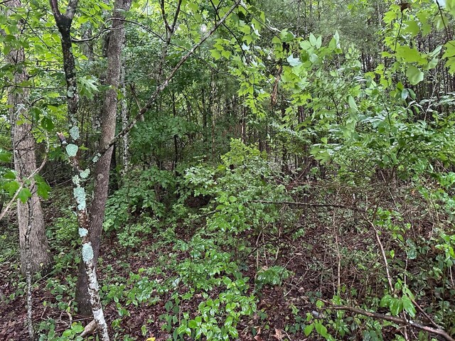 8 Saw Mill Rd, Palmer, TN 37365 - photo 4